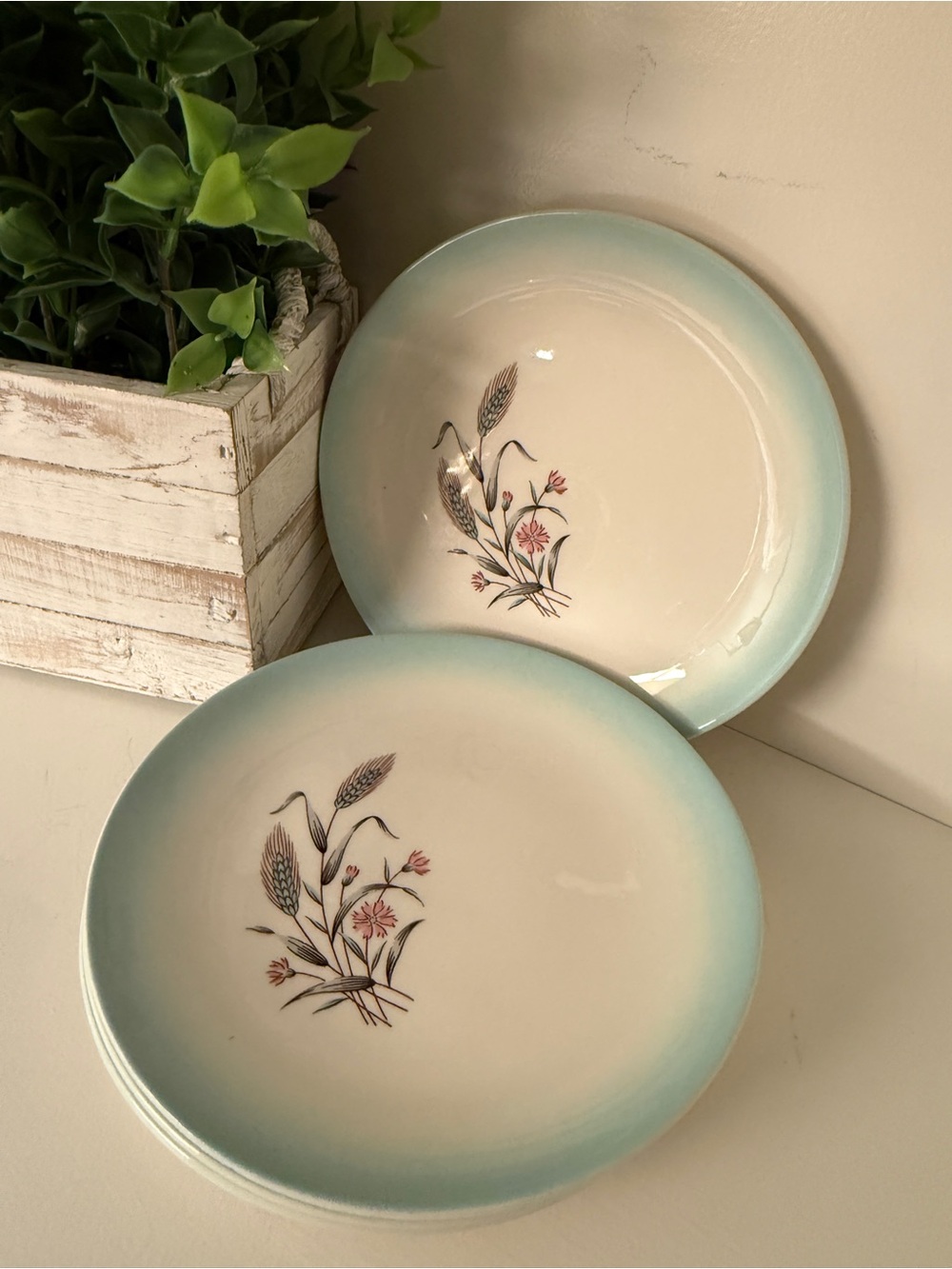 Set of 4 Vintage Homer Laughlin Duratone Aqua Rim Salad Luncheon Plates USA